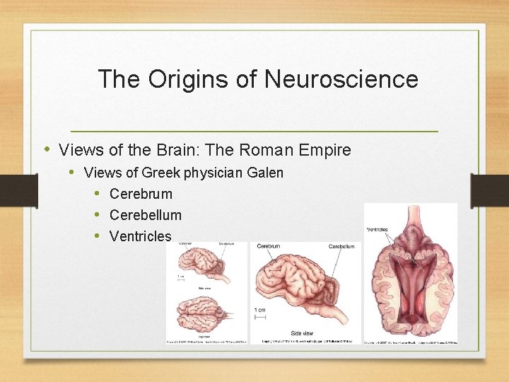 The Origins of Neuroscience • Views of the Brain: The Roman Empire • Views