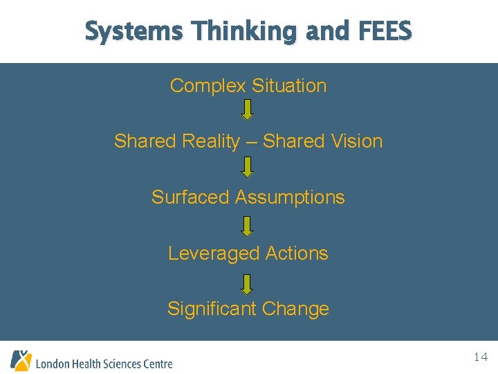 Systems Thinking and FEES Complex Situation Shared Reality – Shared Vision Surfaced Assumptions Leveraged