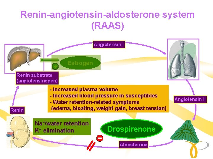 Renin-angiotensin-aldosterone system (RAAS) Angiotensin I + Estrogen Renin substrate (angiotensinogen) Renin - Increased plasma Renin-angiotensin-aldosterone system (RAAS) Angiotensin I + Estrogen Renin substrate (angiotensinogen) Renin - Increased plasma