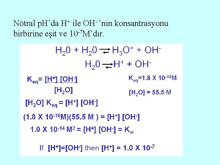 Nötral p. H’da H+ ile OH ’nin konsantrasyonu birbirine eşit ve 10 -7 M’dır.