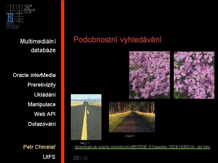 Multimediální databáze Podobnostní vyhledávání Oracle inter. Media Prerekvizity Ukládání Manipulace Web API Dotazování Petr