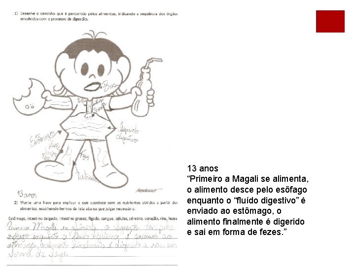 13 anos “Primeiro a Magali se alimenta, o alimento desce pelo esôfago enquanto o