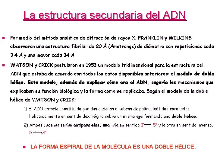 La estructura secundaria del ADN n Por medio del método analítico de difracción de