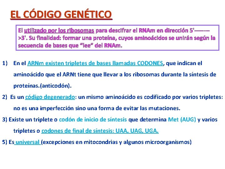 EL CÓDIGO GENÉTICO El utilizado por los ribosomas para descifrar el RNAm en dirección