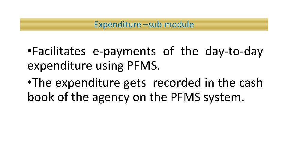 Expenditure –sub module • Facilitates e-payments of the day-to-day expenditure using PFMS. • The