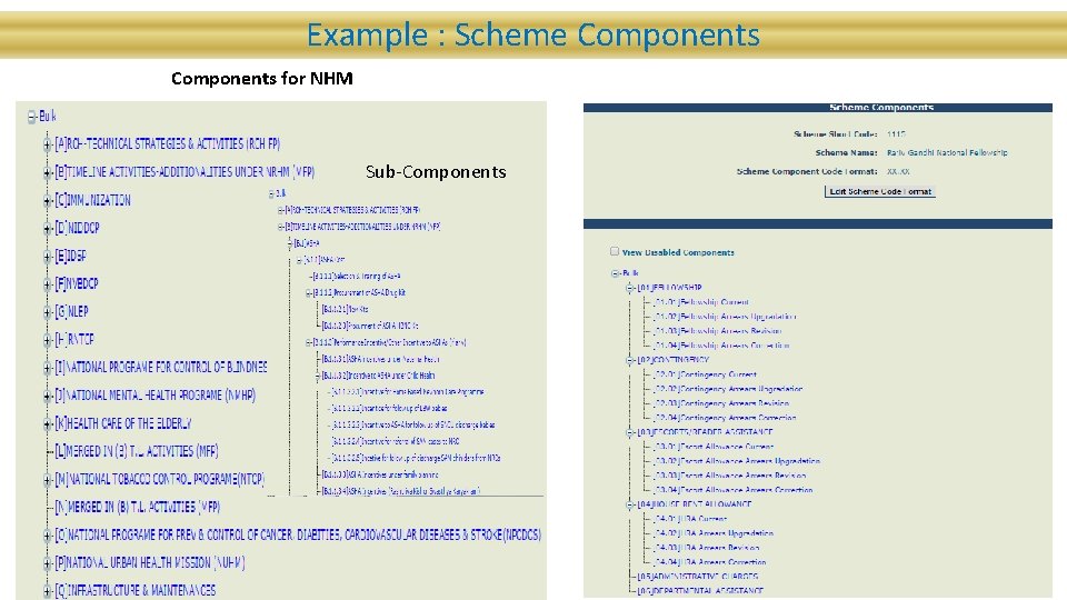 Example : Scheme Components for NHM Sub-Components 