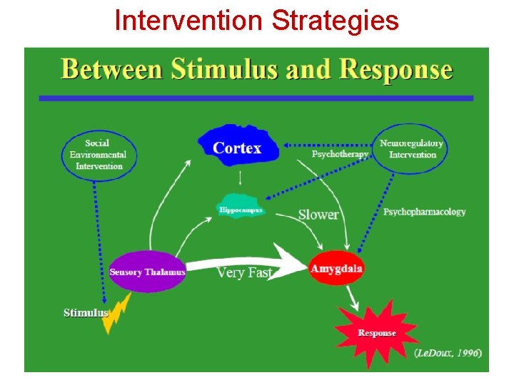 Intervention Strategies 