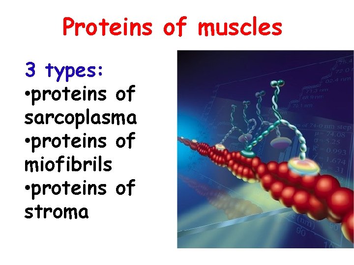 Proteins of muscles 3 types: • proteins of sarcoplasma • proteins of miofibrils •