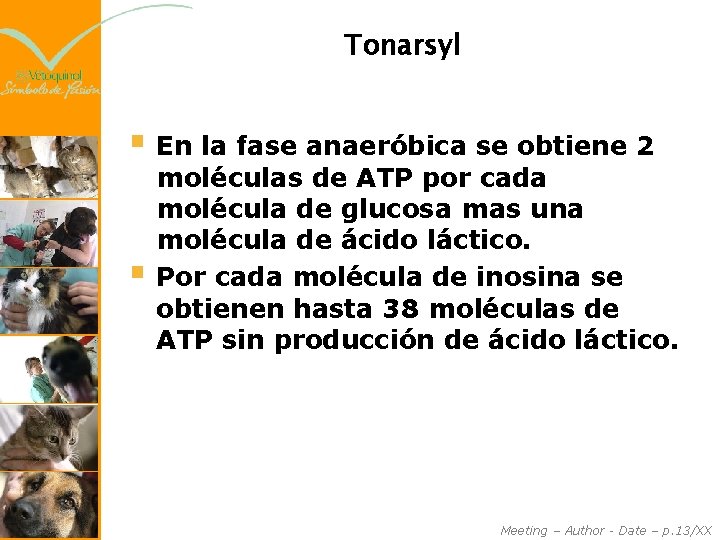 Tonarsyl § En la fase anaeróbica se obtiene 2 § moléculas de ATP por