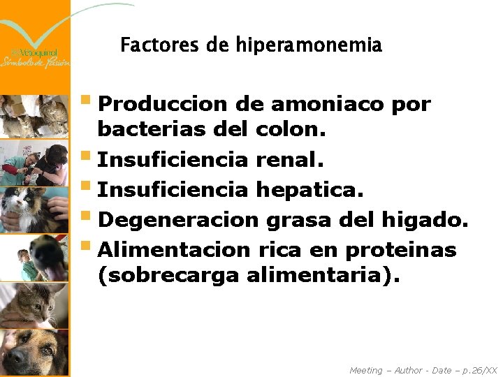 Factores de hiperamonemia § Produccion de amoniaco por bacterias del colon. § Insuficiencia renal.