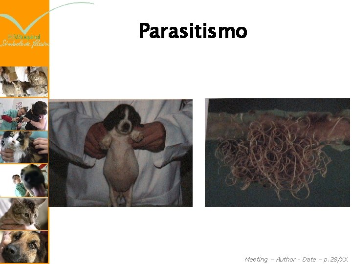 Parasitismo Meeting – Author - Date – p. 28/XX 