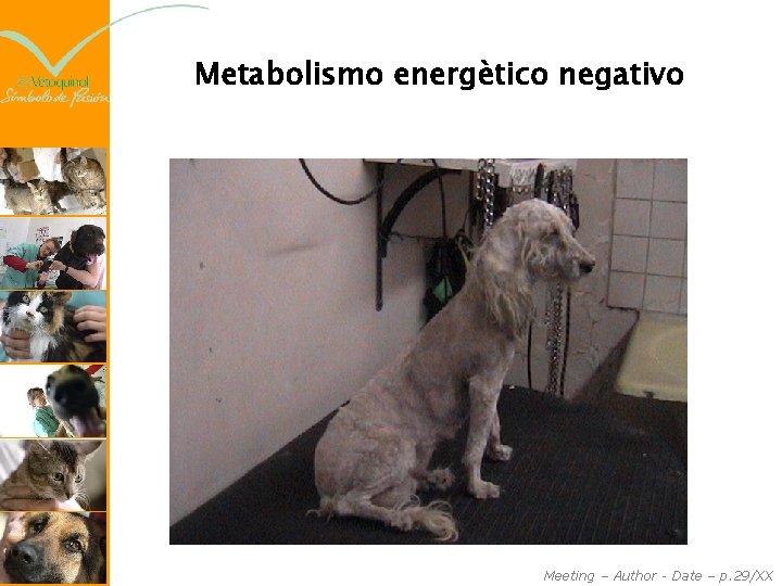 Metabolismo energètico negativo Meeting – Author - Date – p. 29/XX 
