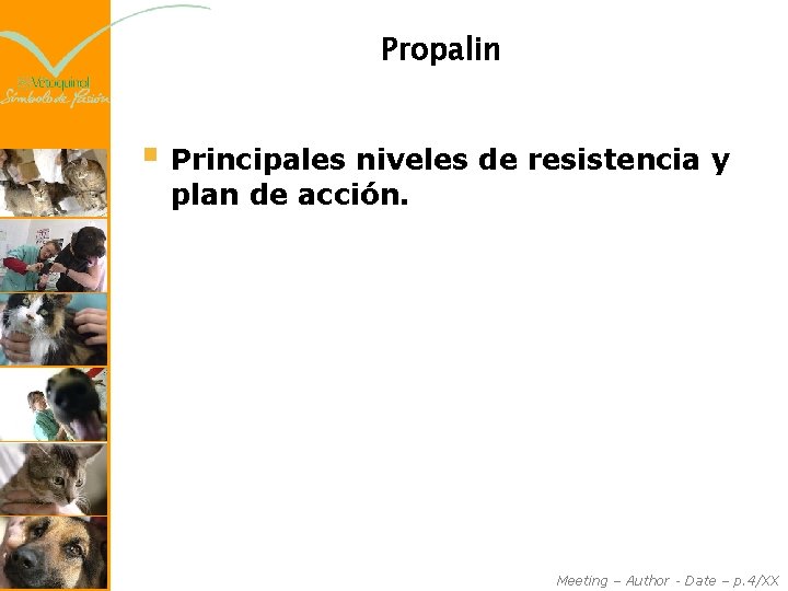 Propalin § Principales niveles de resistencia y plan de acción. Meeting – Author -