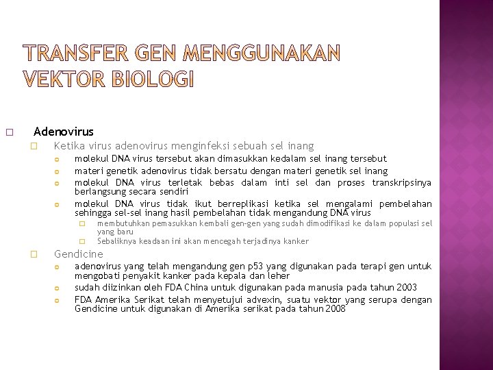 � Adenovirus � Ketika virus adenovirus menginfeksi sebuah sel inang molekul DNA virus tersebut