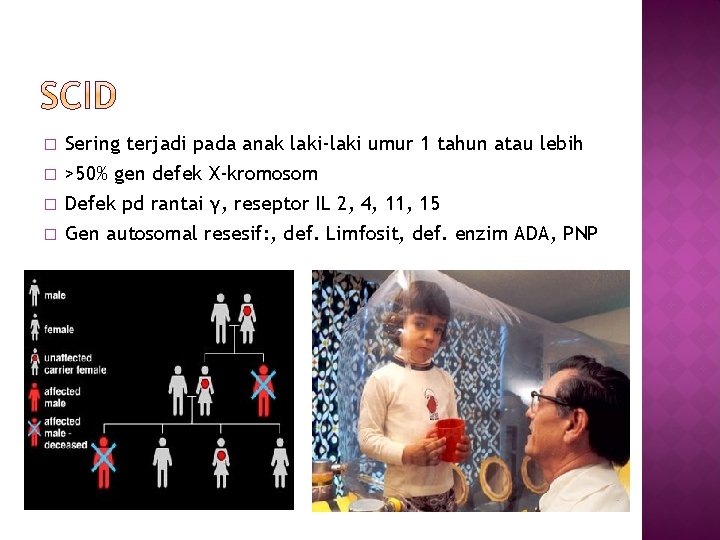 � � Sering terjadi pada anak laki-laki umur 1 tahun atau lebih >50% gen