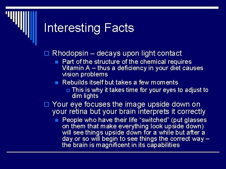 Interesting Facts o Rhodopsin – decays upon light contact n Part of the structure