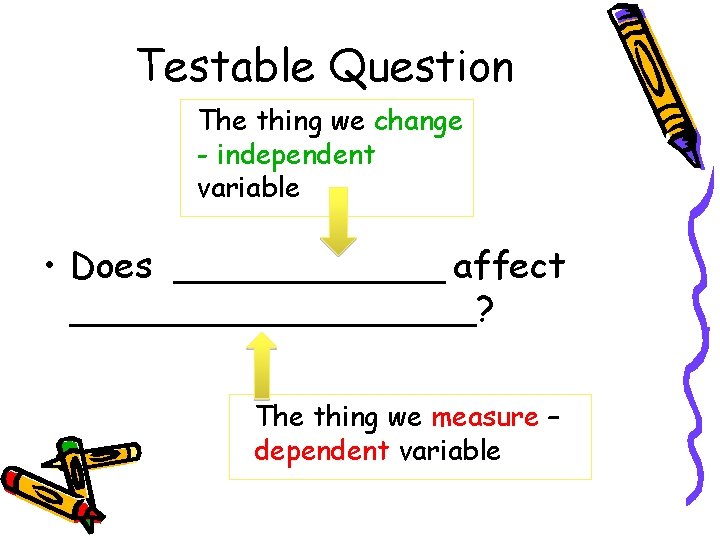 Testable Question The thing we change - independent variable • Does ______ affect _________? Testable Question The thing we change - independent variable • Does ______ affect _________?