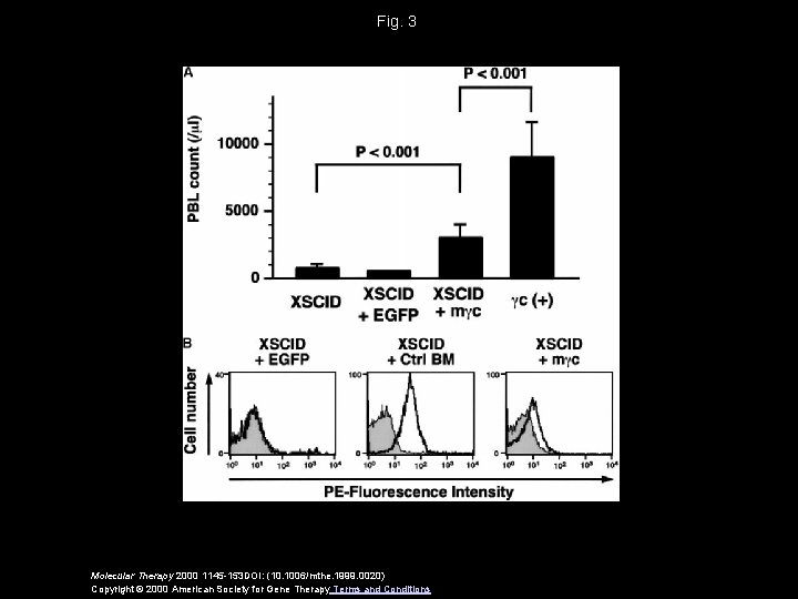 Fig. 3 Molecular Therapy 2000 1145 -153 DOI: (10. 1006/mthe. 1999. 0020) Copyright ©
