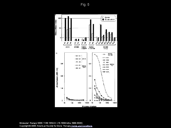 Fig. 5 Molecular Therapy 2000 1145 -153 DOI: (10. 1006/mthe. 1999. 0020) Copyright ©