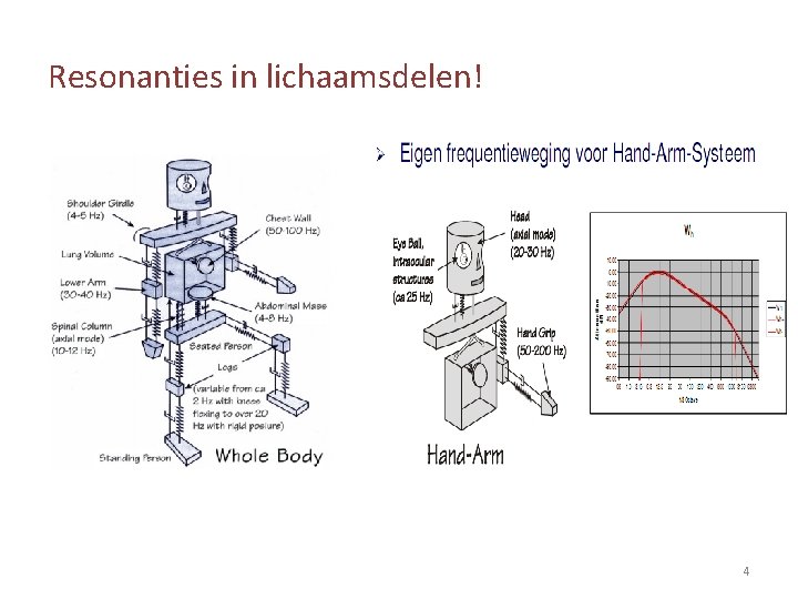 Resonanties in lichaamsdelen! 4 