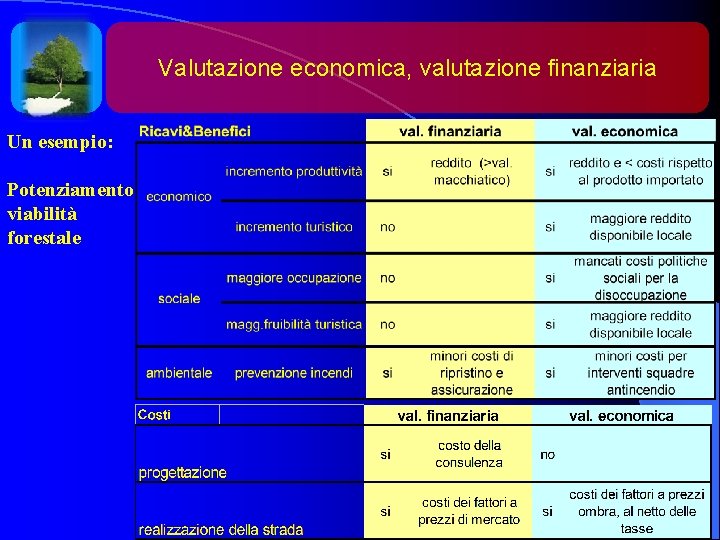 Valutazione economica, valutazione finanziaria Un esempio: Potenziamento viabilità forestale 5 