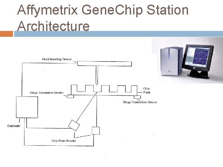 Affymetrix Gene. Chip Station Architecture 