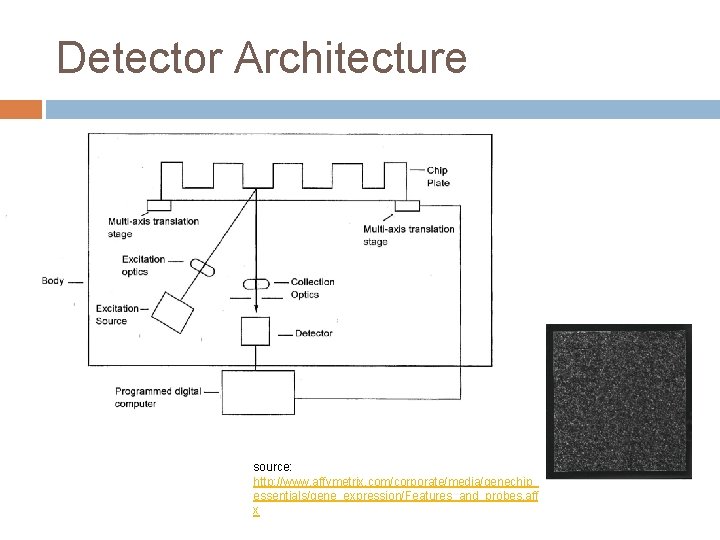 Detector Architecture source: http: //www. affymetrix. com/corporate/media/genechip_ essentials/gene_expression/Features_and_probes. aff x 