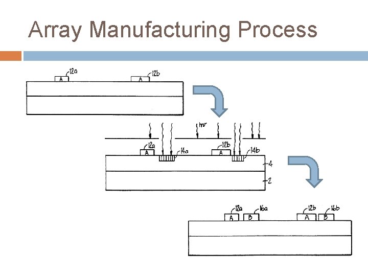Array Manufacturing Process 