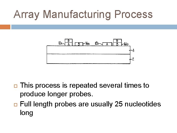 Array Manufacturing Process This process is repeated several times to produce longer probes. Full