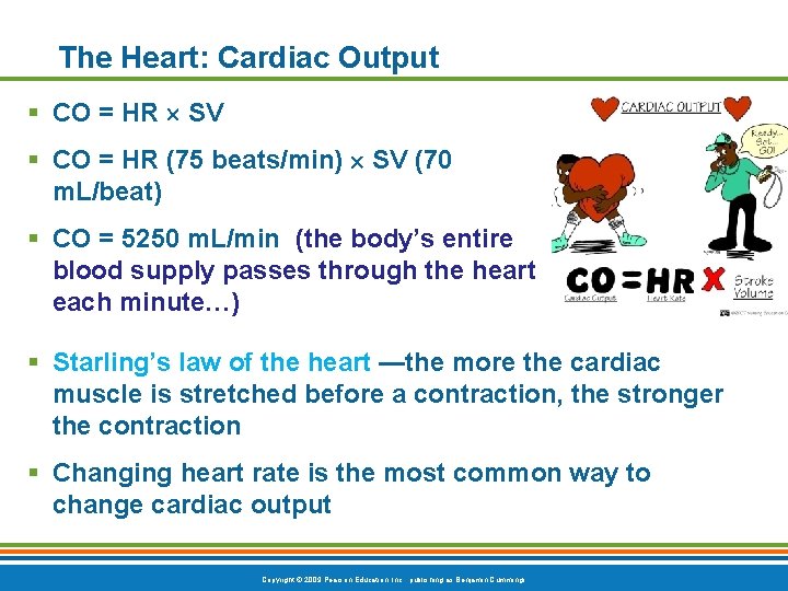 The Heart: Cardiac Output § CO = HR SV § CO = HR (75