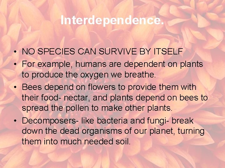 Interdependence. • NO SPECIES CAN SURVIVE BY ITSELF • For example, humans are dependent