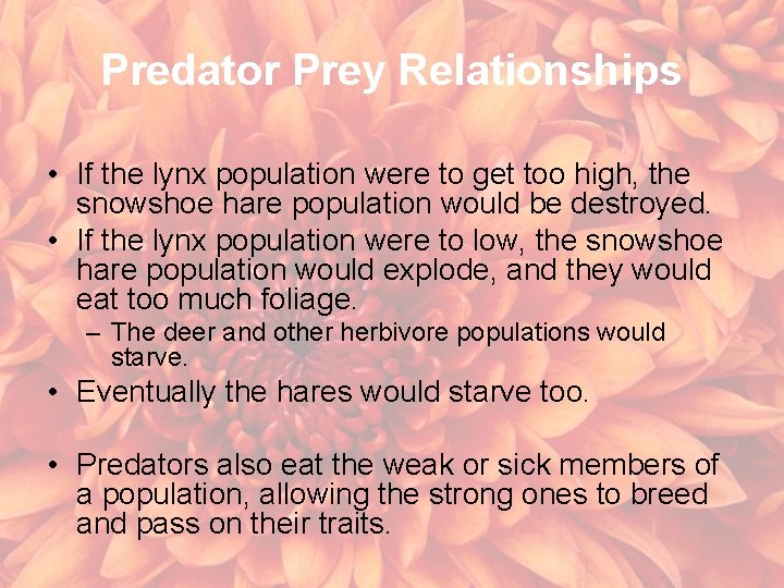 Predator Prey Relationships • If the lynx population were to get too high, the