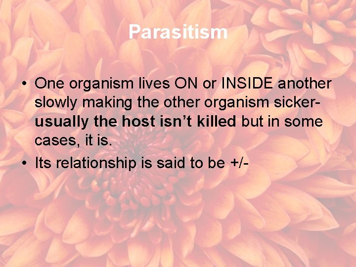 Parasitism • One organism lives ON or INSIDE another slowly making the other organism