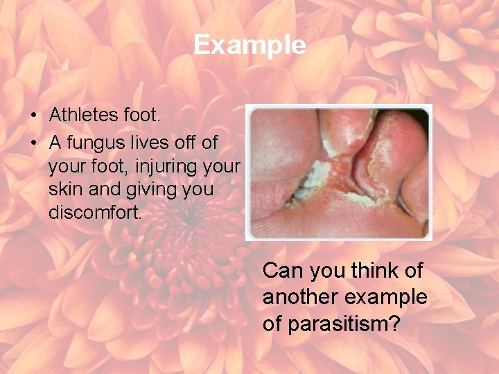 Example • Athletes foot. • A fungus lives off of your foot, injuring your