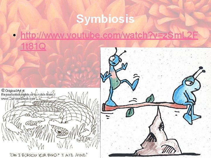 Symbiosis • http: //www. youtube. com/watch? v=z. Sm. L 2 F 1 t 81