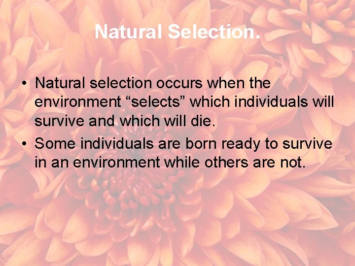 Natural Selection. • Natural selection occurs when the environment “selects” which individuals will survive