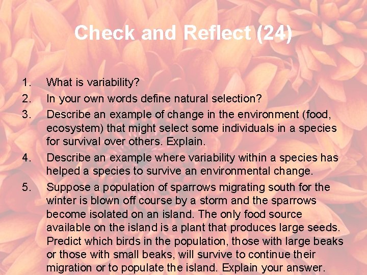 Check and Reflect (24) 1. 2. 3. 4. 5. What is variability? In your