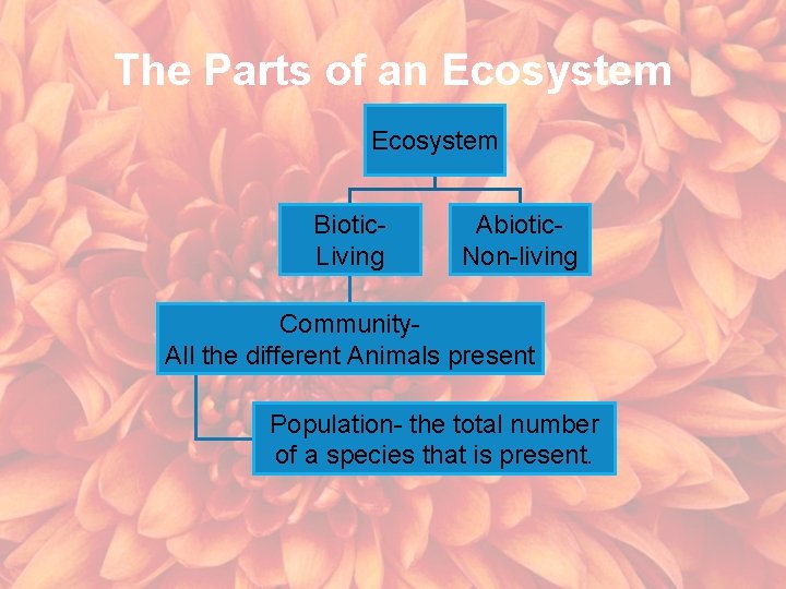 The Parts of an Ecosystem Biotic. Living Abiotic. Non-living Community. All the different Animals