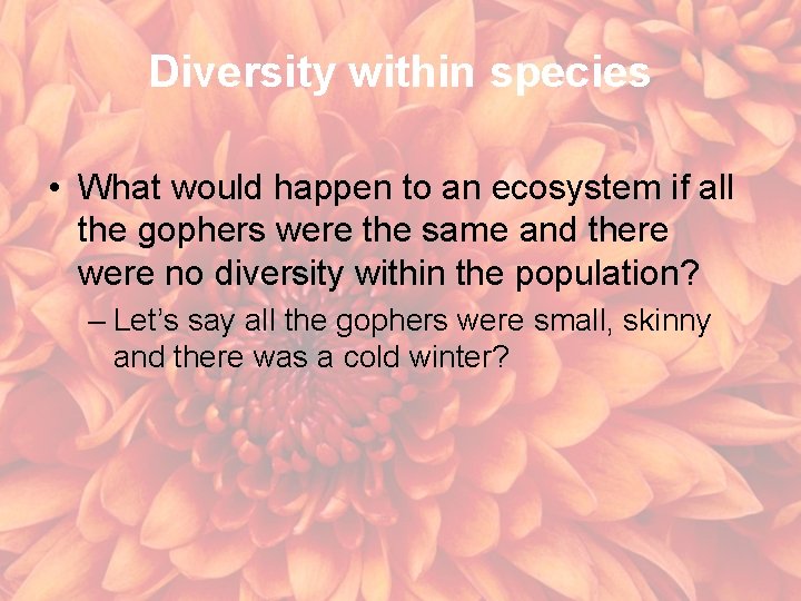 Diversity within species • What would happen to an ecosystem if all the gophers