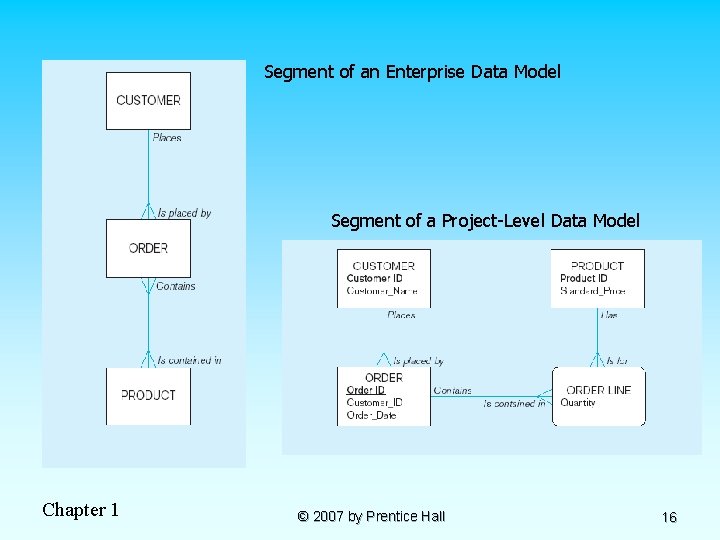 Segment of an Enterprise Data Model Segment of a Project-Level Data Model Chapter 1