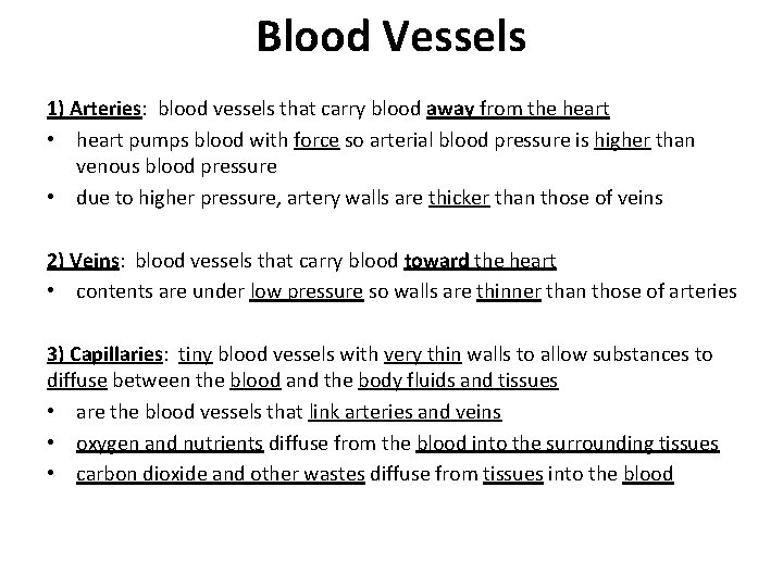 Blood Vessels 1) Arteries: blood vessels that carry blood away from the heart •