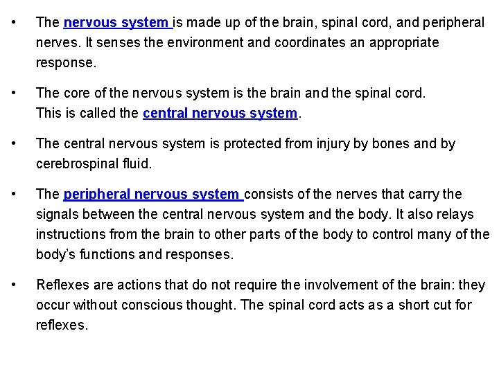  • The nervous system is made up of the brain, spinal cord, and