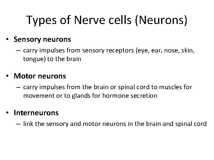 Types of Nerve cells (Neurons) • Sensory neurons – carry impulses from sensory receptors