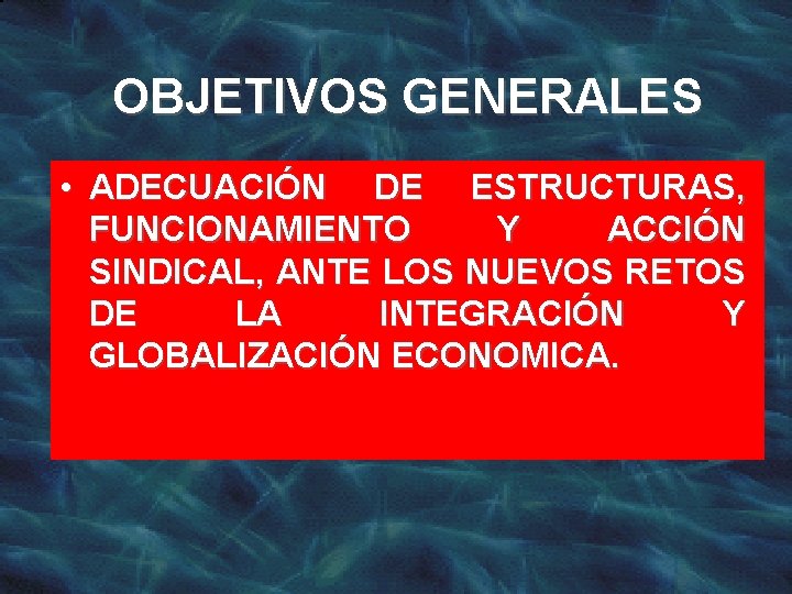 OBJETIVOS GENERALES • ADECUACIÓN DE ESTRUCTURAS, FUNCIONAMIENTO Y ACCIÓN SINDICAL, ANTE LOS NUEVOS RETOS