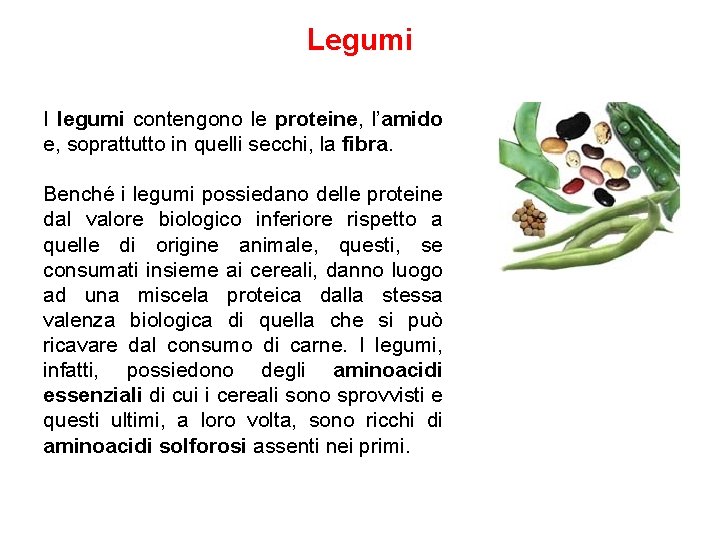 Legumi I legumi contengono le proteine, l’amido e, soprattutto in quelli secchi, la fibra.