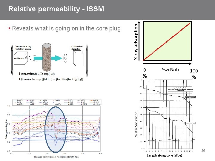 0 % Sw(Na. I) 100 % Water Saturation • Reveals what is going on