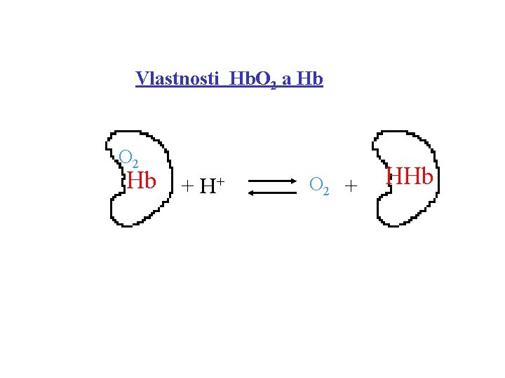 Vlastnosti Hb. O 2 a Hb O 2 Hb + H+ O 2 +