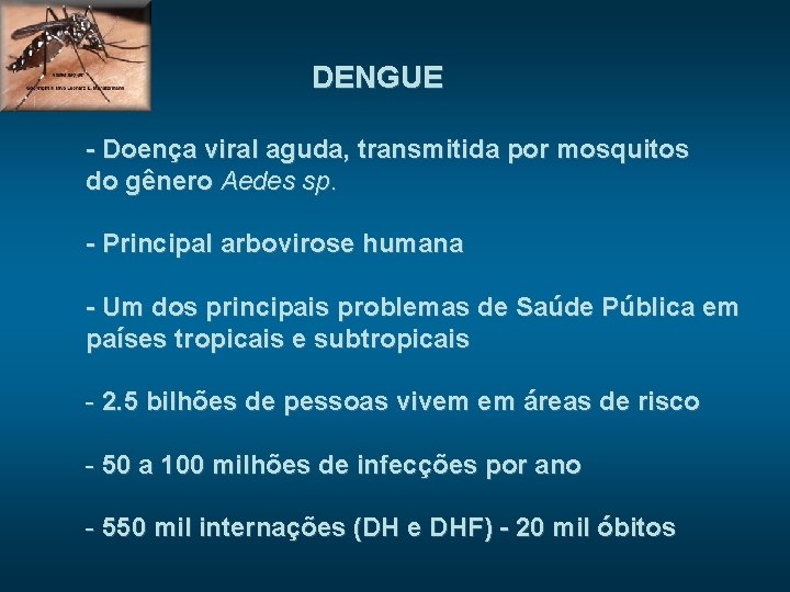 DENGUE - Doença viral aguda, transmitida por mosquitos do gênero Aedes sp. - Principal