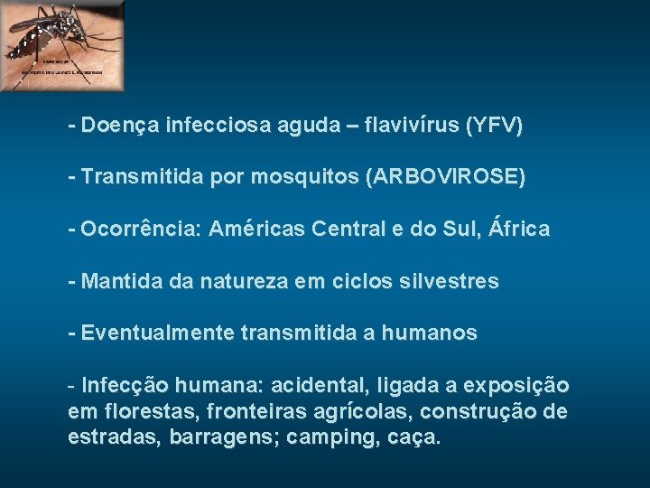 - Doença infecciosa aguda – flavivírus (YFV) - Transmitida por mosquitos (ARBOVIROSE) - Ocorrência: