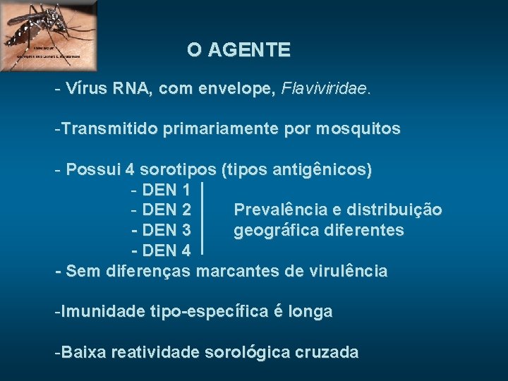 O AGENTE - Vírus RNA, com envelope, Flaviviridae. -Transmitido primariamente por mosquitos - Possui